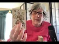 Download Lagu Trumps Epstein-karma en gezondheid, MAGA kiest de kant van Democratische vertegenwoordigers, ille...