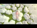 Download Lagu Babies Love Soft - Our Softest Pampers Premium Care Pants