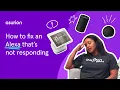 How to fix an Alexa that s not responding Asurion