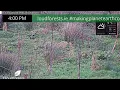 Live Camera Axis P5655-E