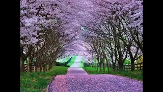 مقاطع رائعة وجميلة للطبيعة من بعض البلدان الأوروبية والأسوية 