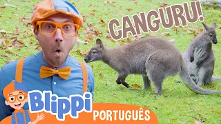 Blippi Passa o Dia com Cangurus e Rinocerontes no Zoológico!