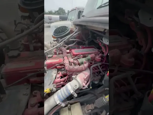 View Video