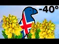 Download Lagu Why Iceland Grows Bananas