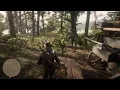Red Dead Redemption 2 Lemoyne Raiders Camp glitched - Old Harry Fen Lemoyne