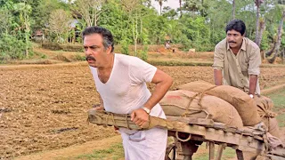 ശ്രീനിവാസന്റെ ഈ കോമഡി കണ്ടാൽ ചിരി നിർത്താനാവില്ല 🤣| Sreenivasan Malayalam Movie | Kinnaripuzhayoram