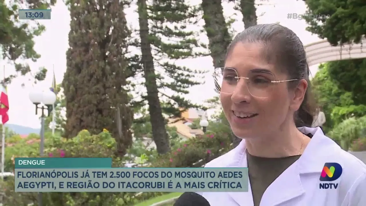 Florianópolis registra 2,5 mil focos do mosquito da Dengue