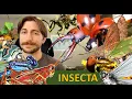 Lagu Insecta: The Insects - Class Spotlight