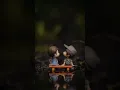 Download Lagu Bunga Terakhir X Untukmu Aku Bertahan