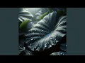 Download Lagu air di daun talas