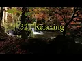 Relaxing Zen Music and Nature Sounds - Wooden Flute and Pan Flute - Meditation, Sleep Sound