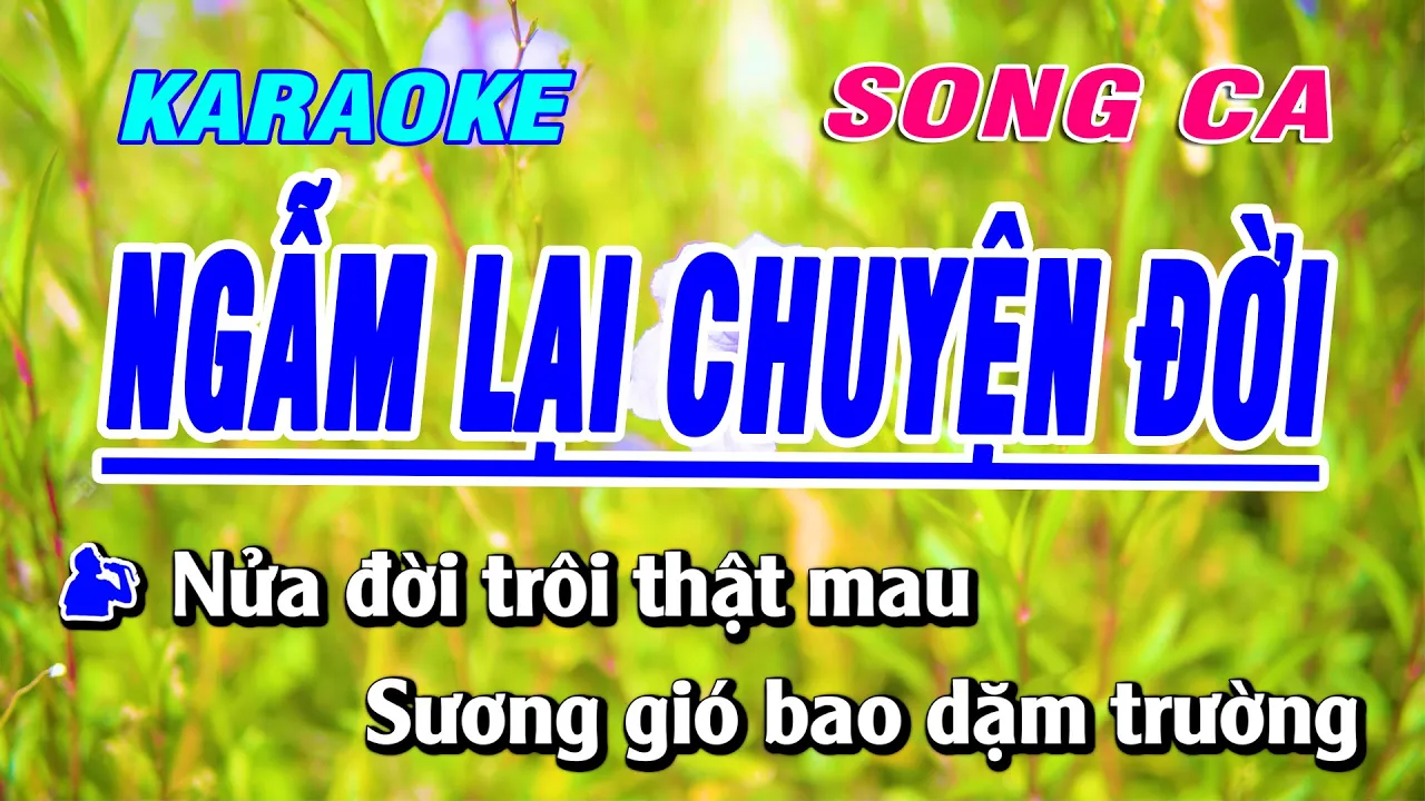 Ngẫm Lại Chuyện Đời ❤️ Tiểu Công Chúa 