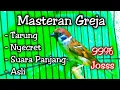 MASTERAN GREJA TARUNG PALING DICARI