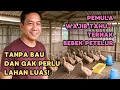 Lagu PEMULA WAJIB TAHU‼️ TERNAK BEBEK PETELUR TANPA BAU DAN GAK PERLU LAHAN LUAS!