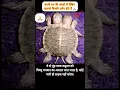 Download Lagu विष्णु भगवान कूर्मासन अवतार #vishnu #vishnumantra #vishnupuran
