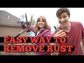 Clean Rusty Garden Tools With Only ONE INGREDIENT