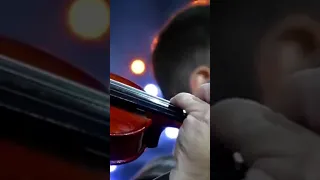 عميدالمداحين الشيخ ياسين التهامى 