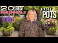 Top 20 Perennials for Pots That Come Back Every Year