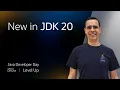 Java 20 Reviewing the Enhancements in the Latest JDK Release