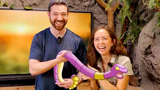 I Met Pokémon in Real Life