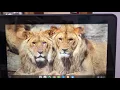 Updating Chromebook and Accessing TestNav