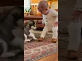 Lagu Baby probeert te dansen met puppy! 🤣🐶👶 (Puppy blaft terug!)