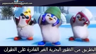 أحلى أغنية أغنية البطاريق الراقصة تعرف على البطاريق دندنها