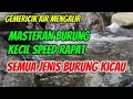 Download Lagu Gemericik Air Mengalir, Masteran burung kecil speed rapat untuk semua burung kicau, Terapi burung