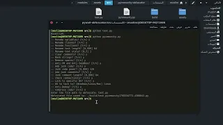 PyImmunity an advanced Python obfuscator