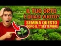 Download Lagu Il tuo orto è quasi vuoto? Affrettati a seminare questo entro il primo settembre e avrai un raccolt