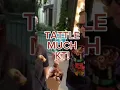 KATIES TATTLE LIFE AND BEYOND DELUSION LIFE