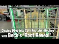 Digging Deep into Corn Root Architecture with Beck s Root Reveal