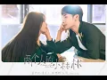 Download Lagu [Pinyin + Engsub] Found You - Zhang Bin Bin | OST A Romance Of The Little Forest