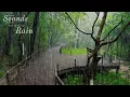 Download Lagu The sound of heavy rain that will help you fall asleep immediately🎧Healing white noise