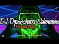 Download Lagu DJ DIPERCHAOS EDAMAME VIRAL TIKTOK