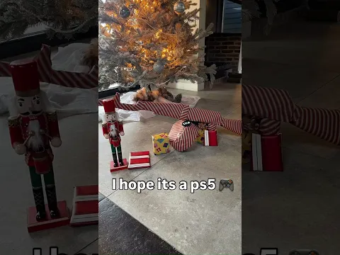 I hope it's a ps5 🥰