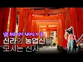 Download Lagu 후시미 이나리신사를 누가 만들었다고!?ㅣ이나리신사의 정체ㅣ도래인의 흔적ㅣ082