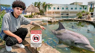 Abandonan PARQUE ACUÁTICO con DELFINES DENTRO
