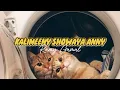 Download Lagu Kalimeeny Showaya Anny (speed up) - Ramy Gamal