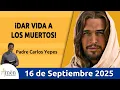 Download Lagu Evangelio De Hoy Martes 16 Septiembre 2025 #PadreCarlosYepes l San  Lucas 7, 11-17 | Compasión