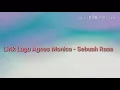Lirik Lagu Agnes Monica - Sebuah Rasa