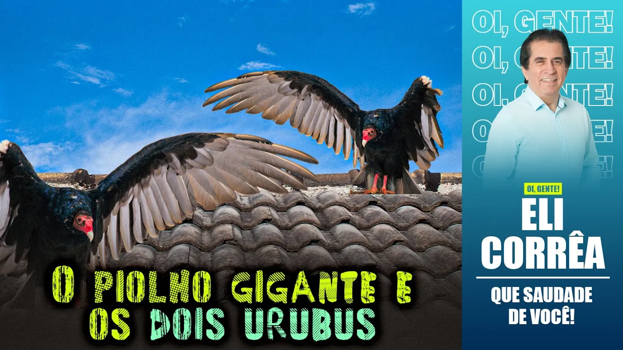 O piolho gigante e os dois urubus | Eli Corrêa Oficial |