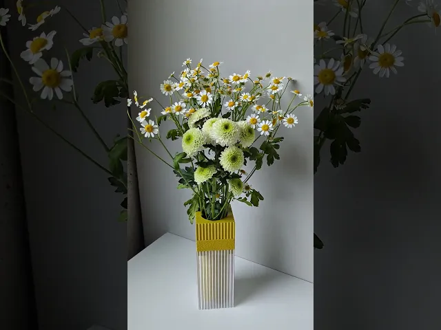 LUCID VASE01X1 video thumbnail