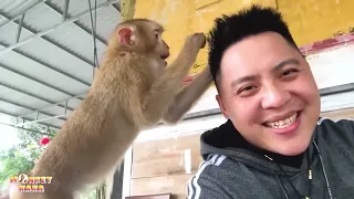 Living far away from family Monkey Kaka has to endure so much hardship it is truly pitiful