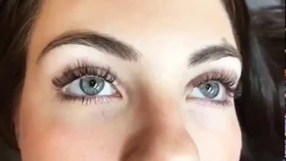 Deka Lash Park Meadows Lashes Classic Volume Brow Tint perfection