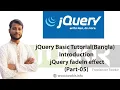 jQuery Basic Tutorial Bangla jQuery fadeIn effect Part-05