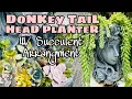 Succulent Arrangement in Donkey Tail Head Planter