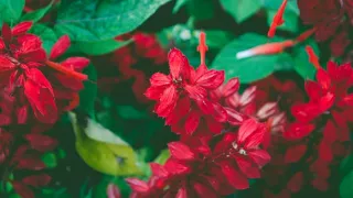 فضلكم يا والدي حالات واتس عن الام و الاب حالات واتس بدون موسيقى مقاطع انستا قصيرة 