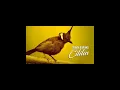 Download Lagu Suara Asli Burung Cililin Gacor #cililin #suaraburung #fyp