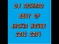 Download Lagu DJ Richard Best Of Jackin Basslines \u0026 Dirty Electro 2013 - 2 hour mix